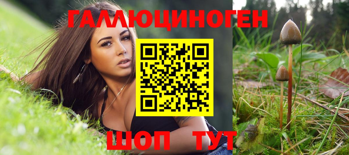 Камень-на-Оби  Псилоцибиновые грибы ЛСД  Псилоцибиновые грибы MAGIC MUSHROOMS  Вход с VPN 