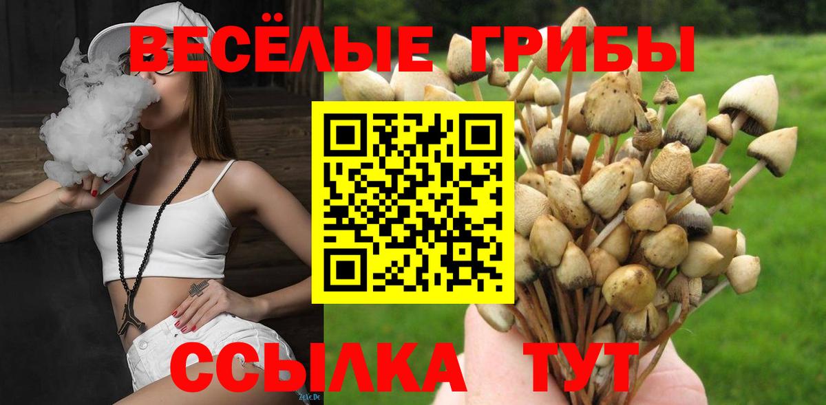 Галлюциногенные грибы MAGIC MUSHROOMS Камень-на-Оби